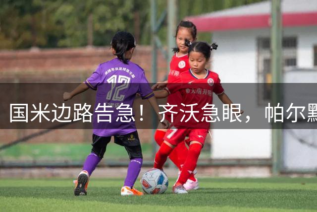国米边路告急！齐沃急眼，帕尔默被挖，新援拒投，夏窗难了？